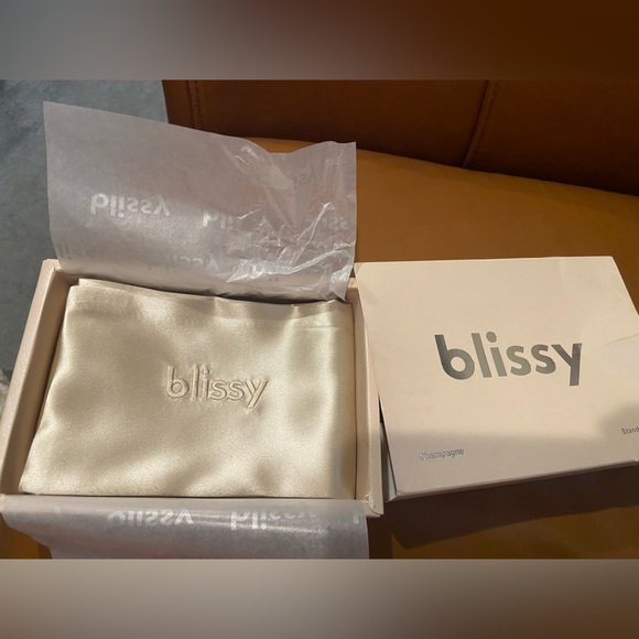 New! Blissy Silk Pillowcase - Picture 1 of 9